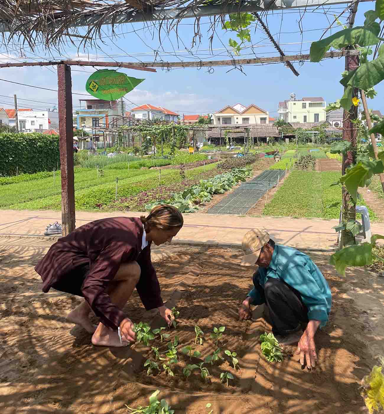 Tra Que Vegetable Village
