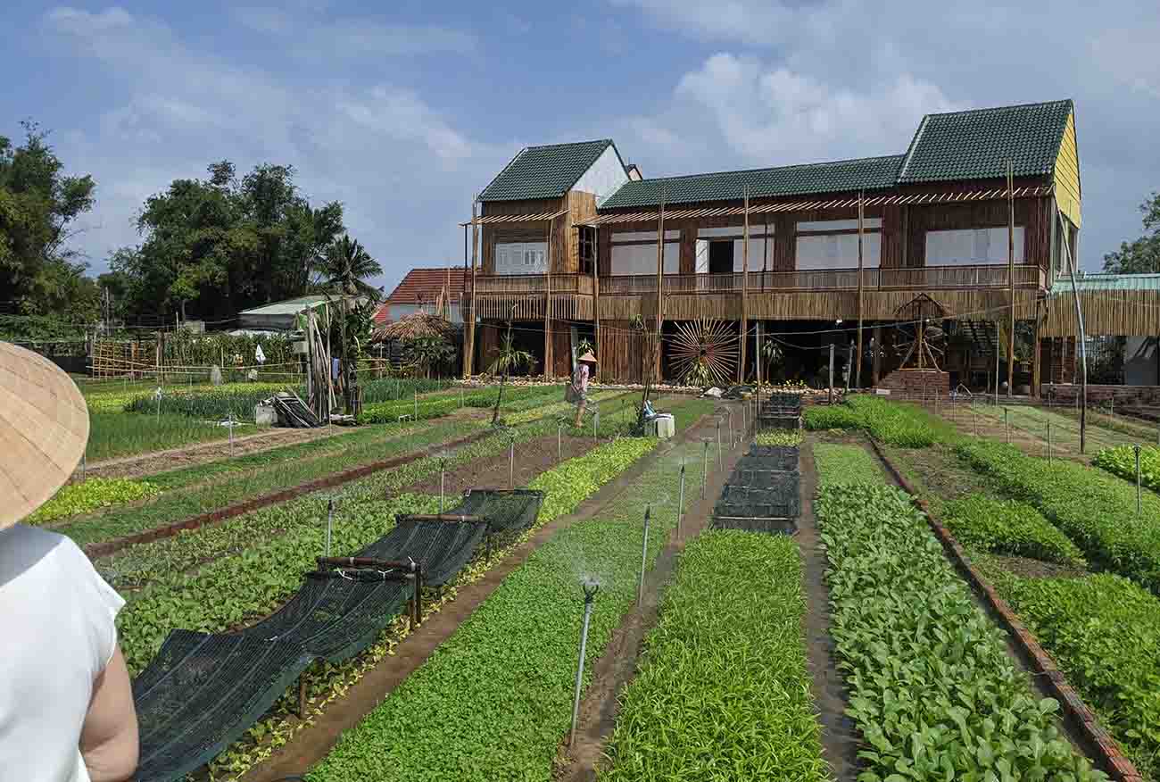 Tra Que Vegetable Village