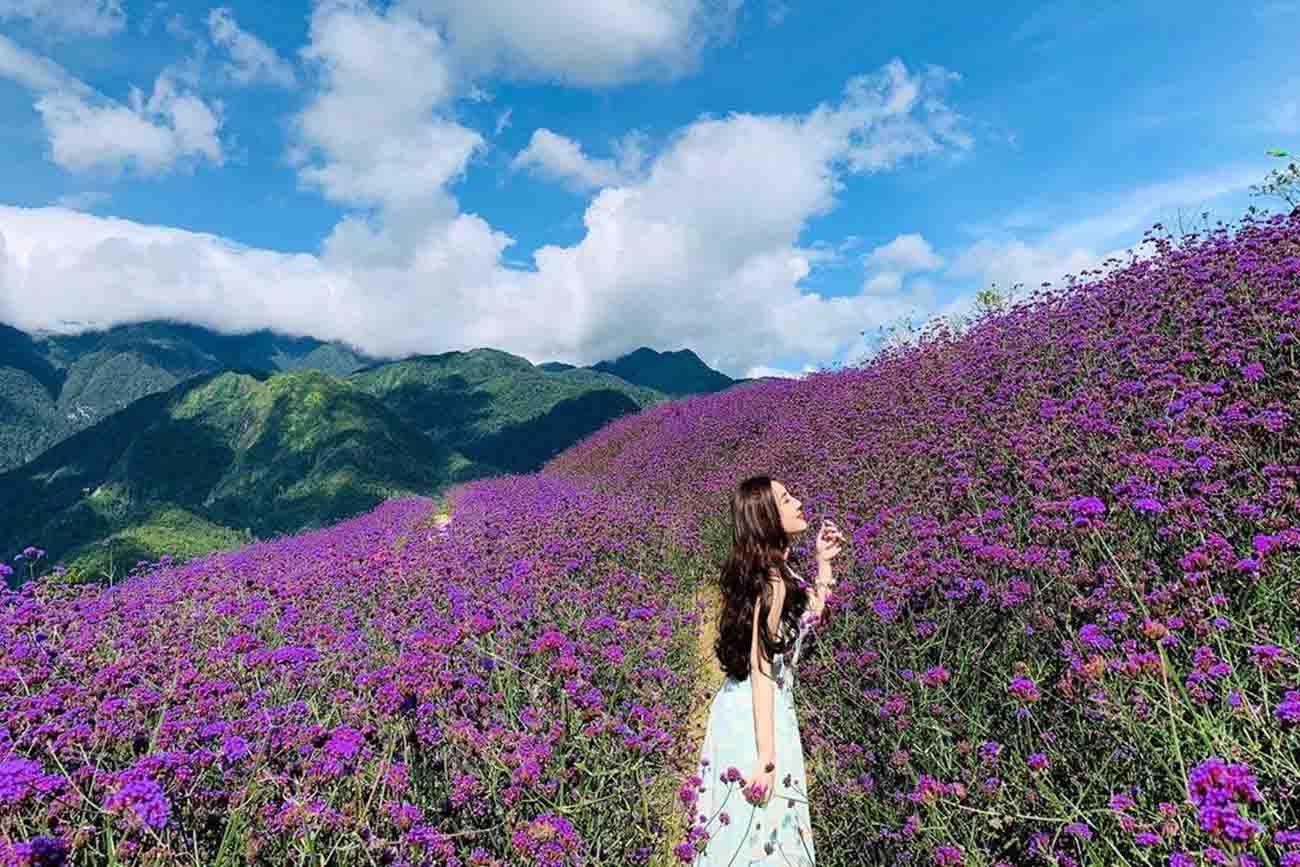12 Best Things to Do in Sapa